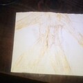 IMG 20221122 233746.jpg
