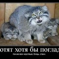 20180411 091041.jpg