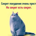 6be3e19708a77a54fe1c82d6d8c7312bf67f9a62c3b733c96febac8ef461394c 1 jpg 1.jpg