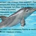 IMG-20240219-WA0034.jpg