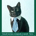 С Днём Галстука.jpg