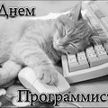 13 Сентября - С Днём Программиста.jpg