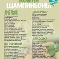 f14623f0323a7f1b46896f1457e8b50f.jpg