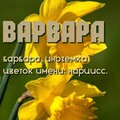 c2bb3796e0a23b2aa4f4265fd193805b.jpg