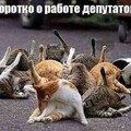 0156c45794289bb2da3a517736f47138.jpg