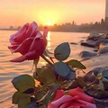 00309795132a03d9696758e0a1a246b5.jpg
