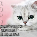 image (16).png