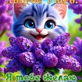 b71001d8ce4c3244fe1c5f49db7d45f3.jpg