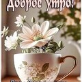 eab8d429-22c9-4e22-baad-e6ebdd528a68.jpg