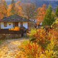 63971-derevnya osen dorozhka.jpg