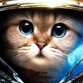 Image from million-wallpapers ru (25).jpg
