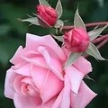 8e979676-2b02-47b0-b3e0-dba02778e7c6.jpg