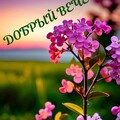 046bfccf95d3ed00e5311a7295f7e1f6.jpg
