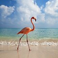 Image from million-wallpapers ru (10).jpg
