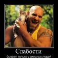 20180415 174952.jpg