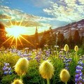 ca9c382a162d7c5227476d484dea6d62.jpg