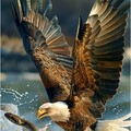 fe985f45536e505896028480a4c4cacb.jpg