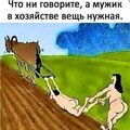 e79e207888ca30299006ca25562507c0.jpg