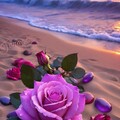 e9912425b018f6a9a6f26962fa9026a7.jpg