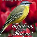 1 Апреля.jpg