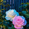 5d59d422d994f3a8fd7bc413da4bf934.jpg