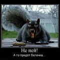20180408 175450.jpg