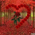i(546).jpg