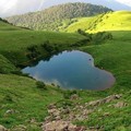 image-1.jpg