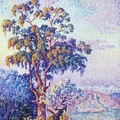 Antibes the Eucalyptus 1913.jpg