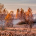 осенним утром.jpg