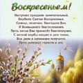 e5094d7a8234485b9fadf043389d7cf0.jpg