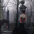picture 30 12 03 04 15.png