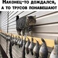 872603a8b170538f48408ac6d10dde2c.jpg