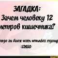 a08207b413a84f686d20b20b32dcf14908a7bd1cd006d5533403feef625da2b0 1 jpg.jpg