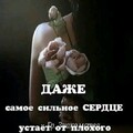 f3305055c14d90b073e97d2500384f28.jpg