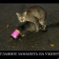 IMG-20170515-WA0053.jpg