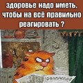417b72bcf05693843adaa3a1583bc3733f8f5d9b6f1280f66c81167a59f3a57f 1 jpg 1.jpg