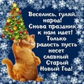 1886422a-c024-450d-a21c-e17a71b5186a.jpg