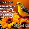 Доброе Утро.jpg