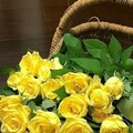 e96c37db815c98271fd91e9f6601e838.jpg