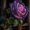 2bb96c21c527a979f197be5d80c08ff9.jpg