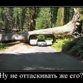 Дм (1).jpg