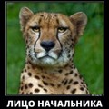 IMG 20181213 033538 729.jpg