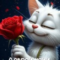 04fb8041ec29c62c5fa1fdc7ceff7611.jpg