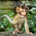 1d2541c8-5f19-48bd-bda0-0ed251572302.jpg