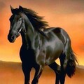 f9b91dd7a41331866ec8690d7e2ebe41.jpg