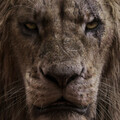 chiwetel-ejiofor-as-scar-in-the-lion-king-2019-4k-ok-3840x2160.jpg