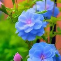 cdcd3c048bc2b2625e78b59b465a7fe1.jpg