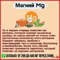 1f92358a397842a659fc1c34d718cf74.jpg