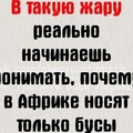 8e75430b-7ecd-43b1-abee-5680beda9209.jpg
